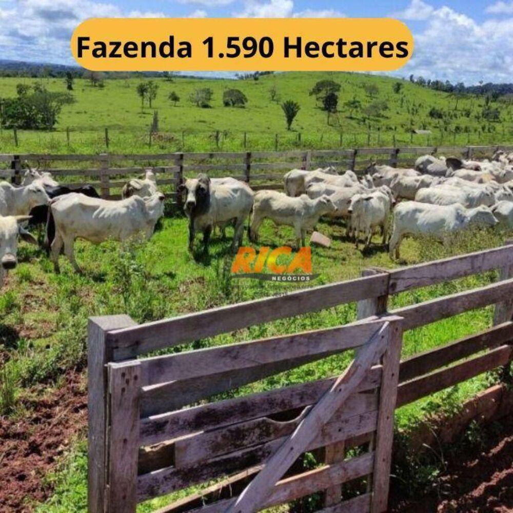 Fazenda à venda, 15900000M2 - Foto 1