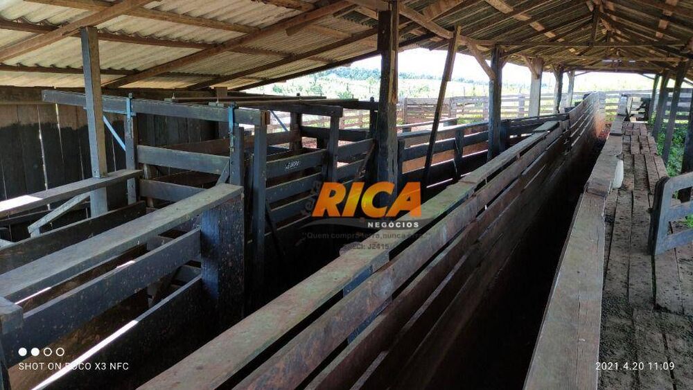 Fazenda à venda, 15900000M2 - Foto 3