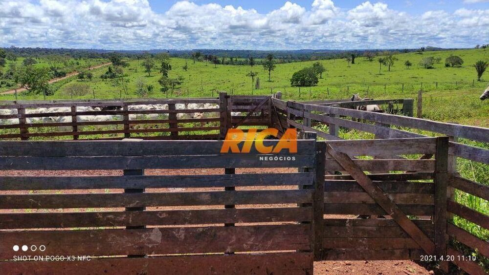 Fazenda à venda, 15900000M2 - Foto 4