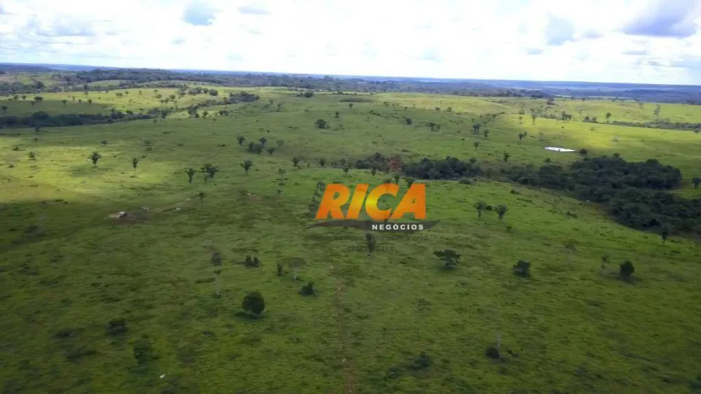 Fazenda, 1590 hectares - Foto 3