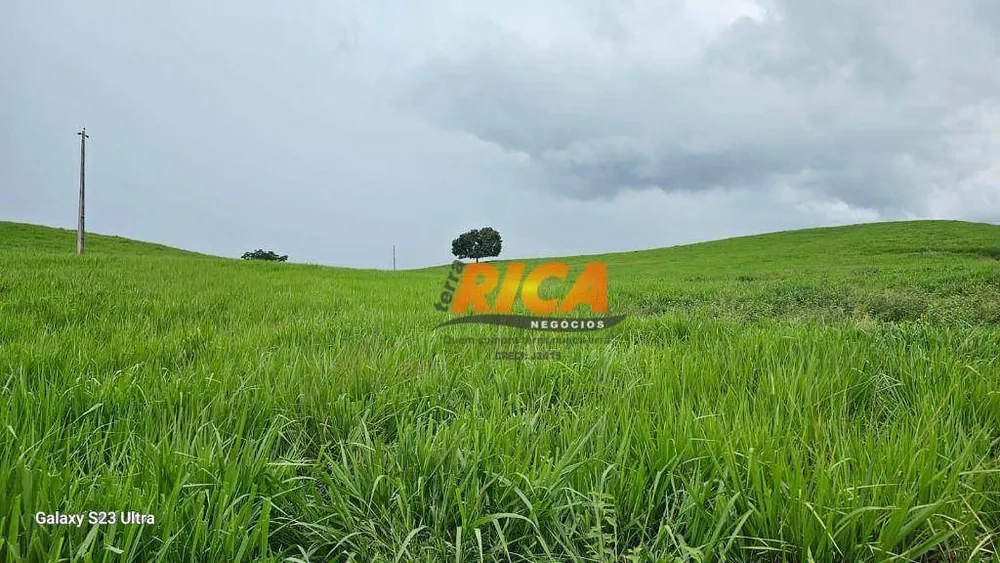 Fazenda, 500 hectares - Foto 4