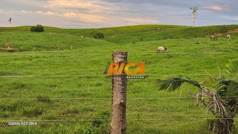 Fazenda, 500 hectares - Foto 1