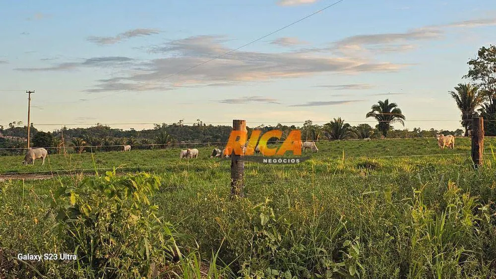 Fazenda, 500 hectares - Foto 10