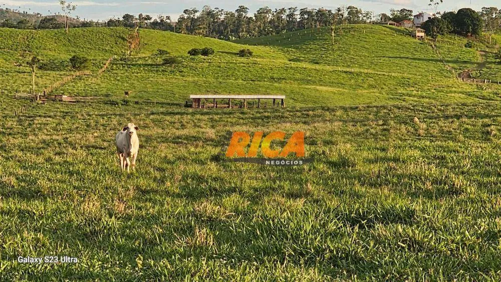 Fazenda, 500 hectares - Foto 11
