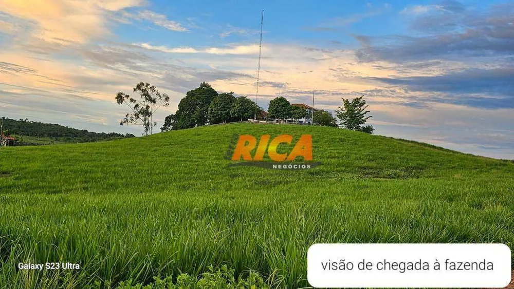 Fazenda, 500 hectares - Foto 8