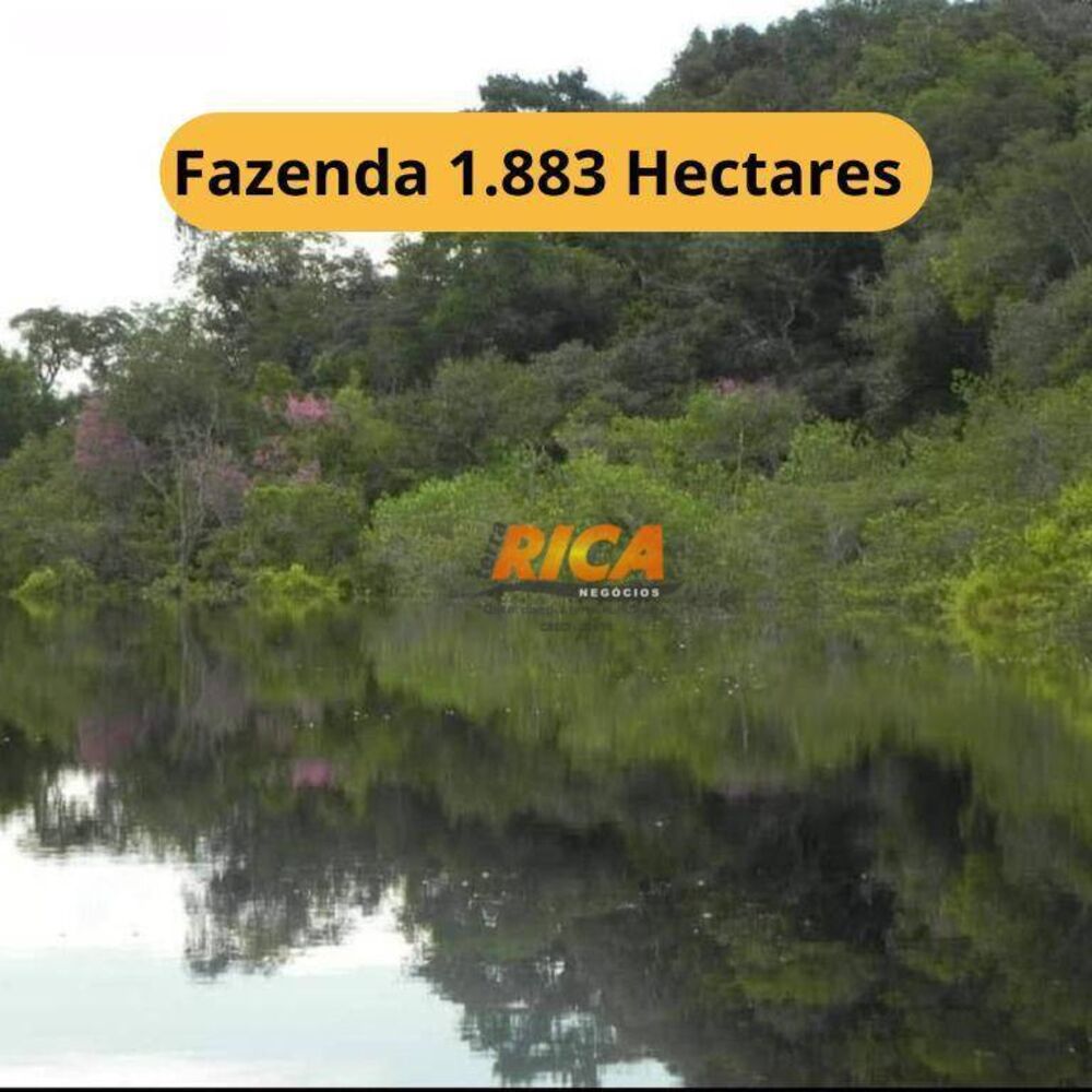 Fazenda, 1883 hectares - Foto 3