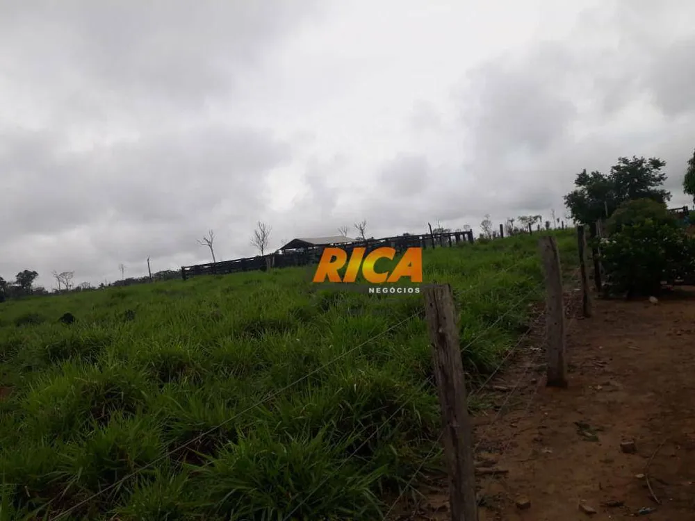 Fazenda, 115 hectares - Foto 10