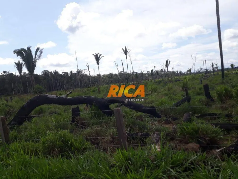 Fazenda, 115 hectares - Foto 1