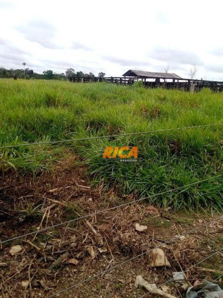 Fazenda, 115 hectares - Foto 4