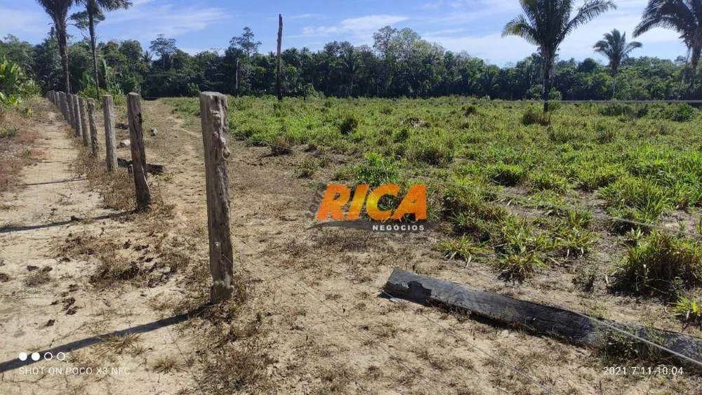 Fazenda, 115 hectares - Foto 2
