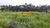 Fazenda, 115 hectares - Foto 4