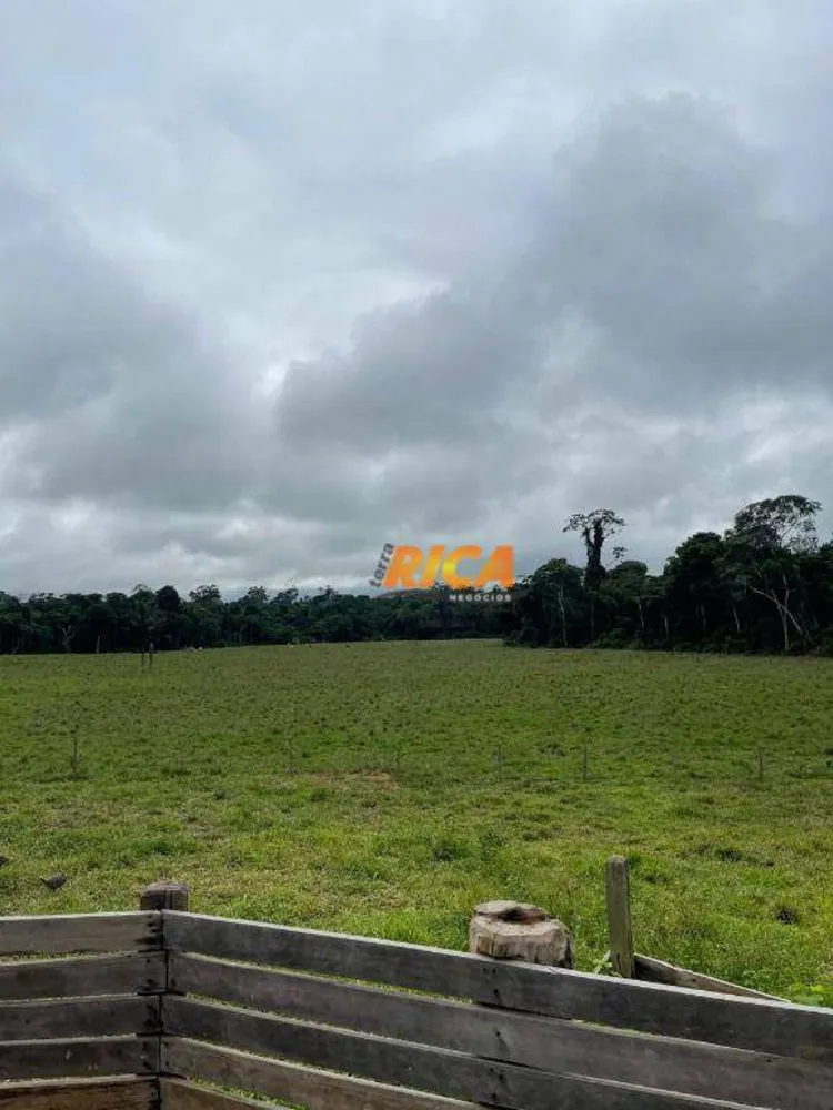 Fazenda, 274 hectares - Foto 10