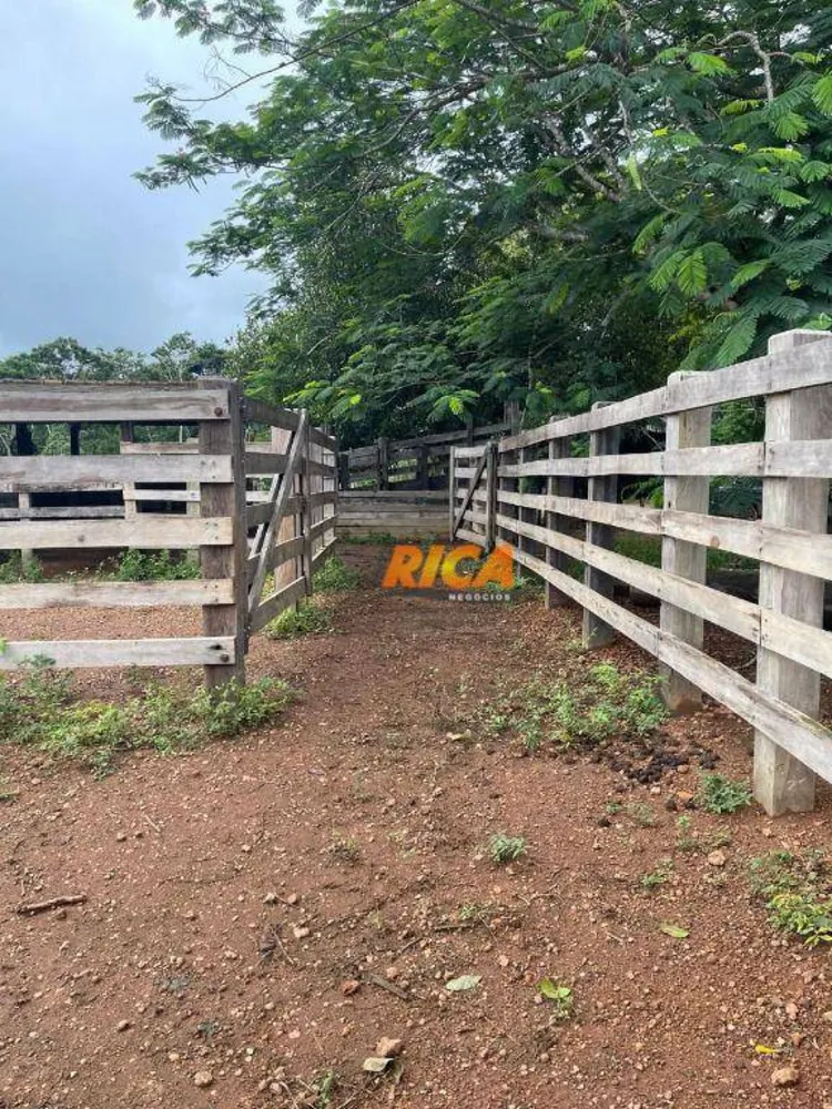 Fazenda, 274 hectares - Foto 9
