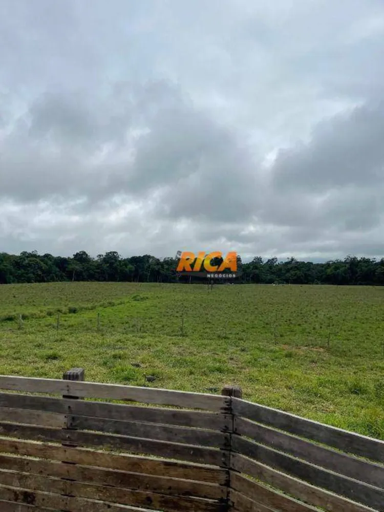 Fazenda, 274 hectares - Foto 11