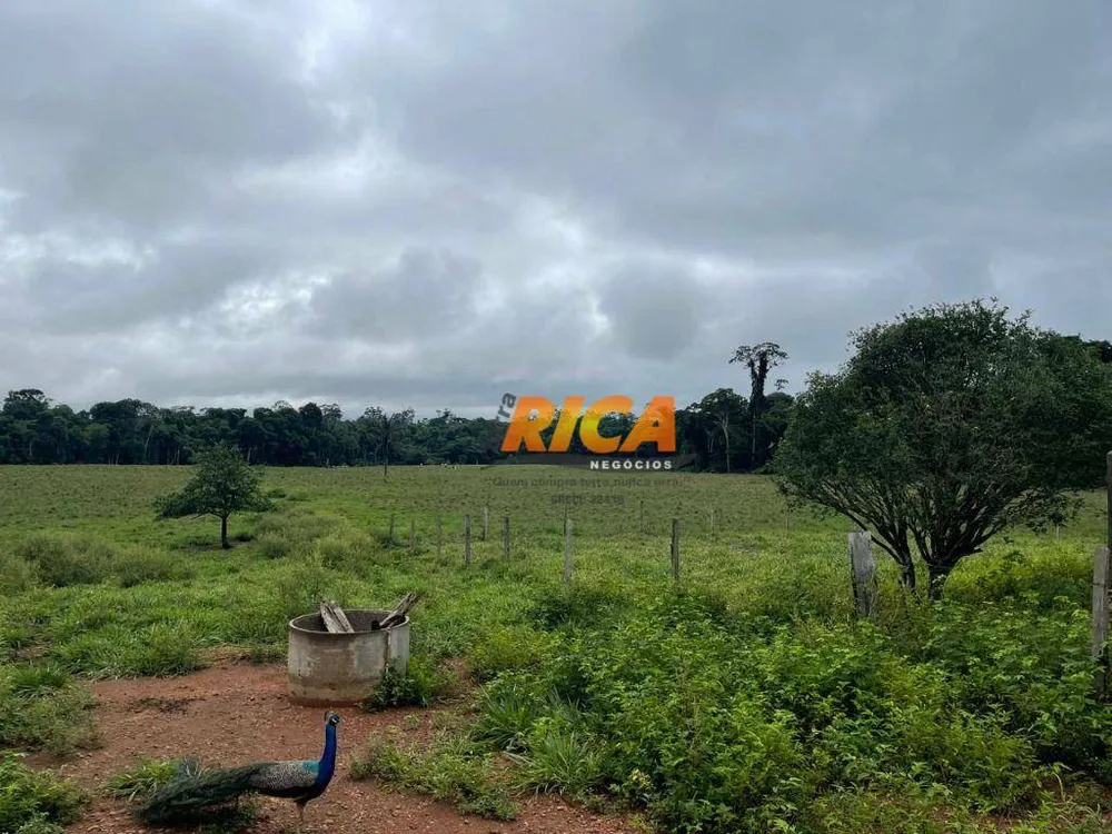 Fazenda, 274 hectares - Foto 16