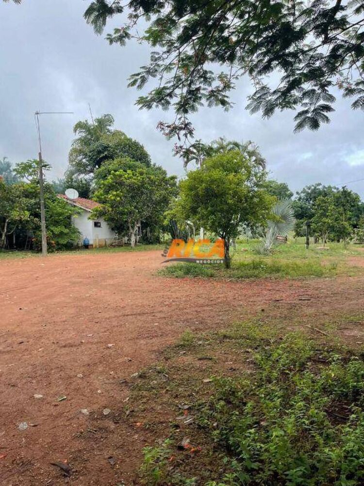 Fazenda, 274 hectares - Foto 1