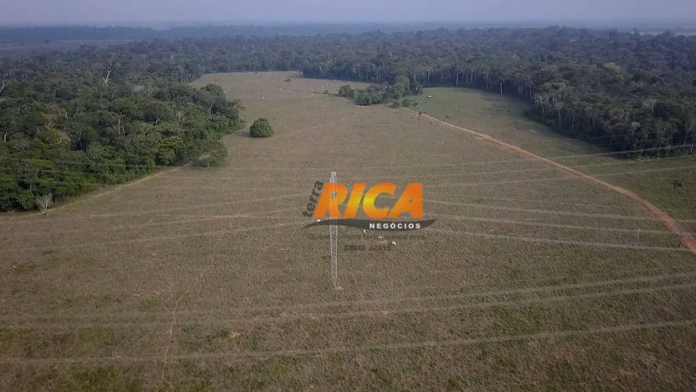 Fazenda, 274 hectares - Foto 3
