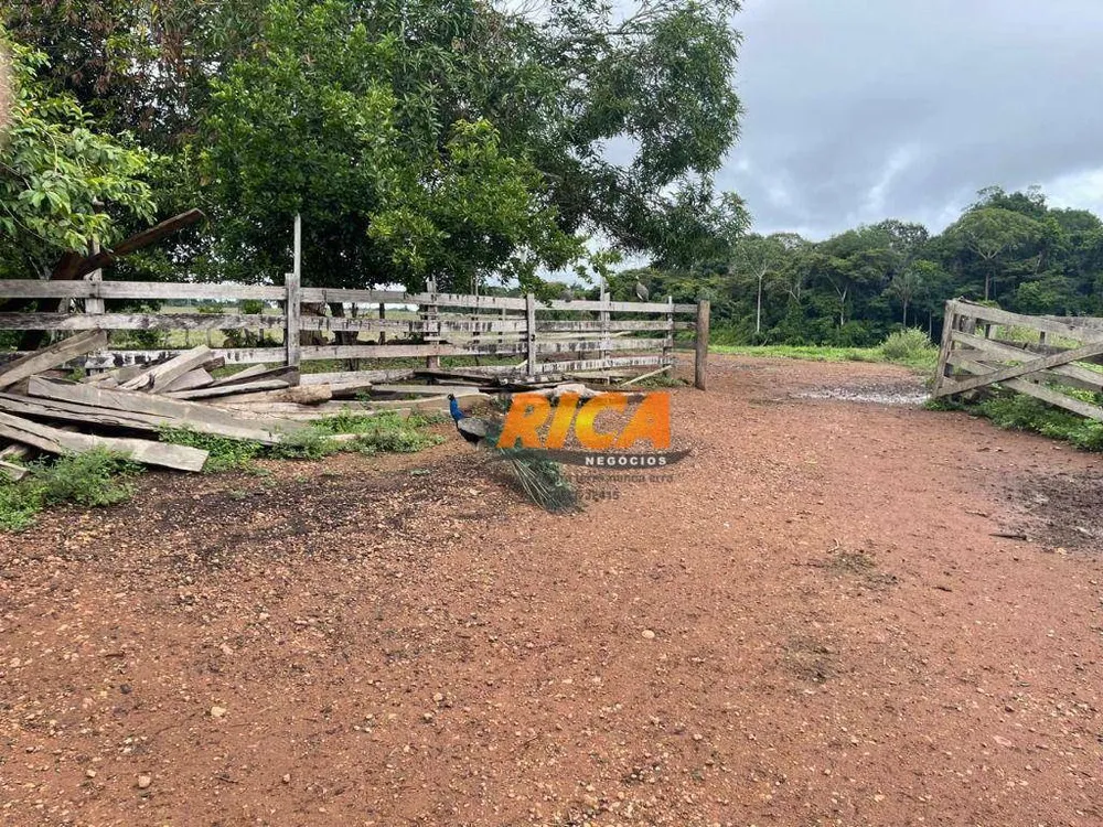 Fazenda, 274 hectares - Foto 8