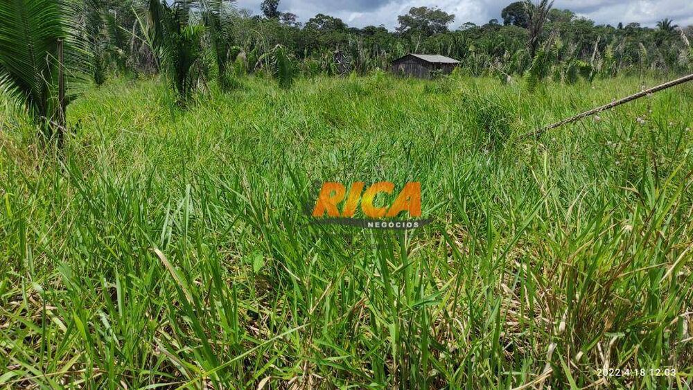 Fazenda, 100 hectares - Foto 2