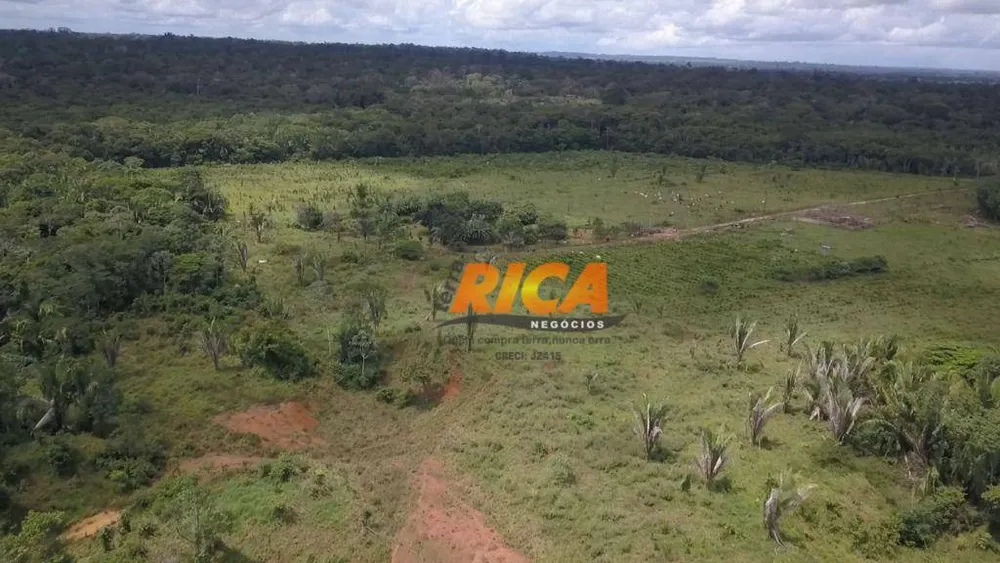 Fazenda, 100 hectares - Foto 8