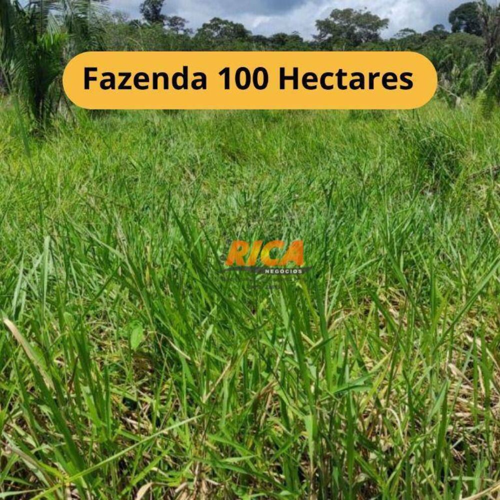 Fazenda, 100 hectares - Foto 1
