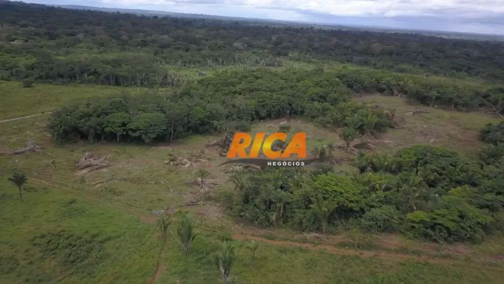 Fazenda, 100 hectares - Foto 11