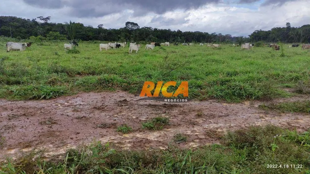 Fazenda, 100 hectares - Foto 7