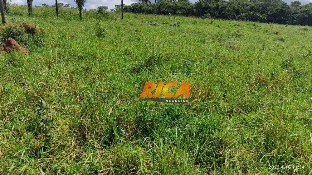 Fazenda, 100 hectares - Foto 5