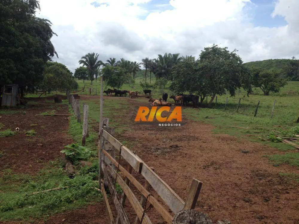 Fazenda, 100 hectares - Foto 11