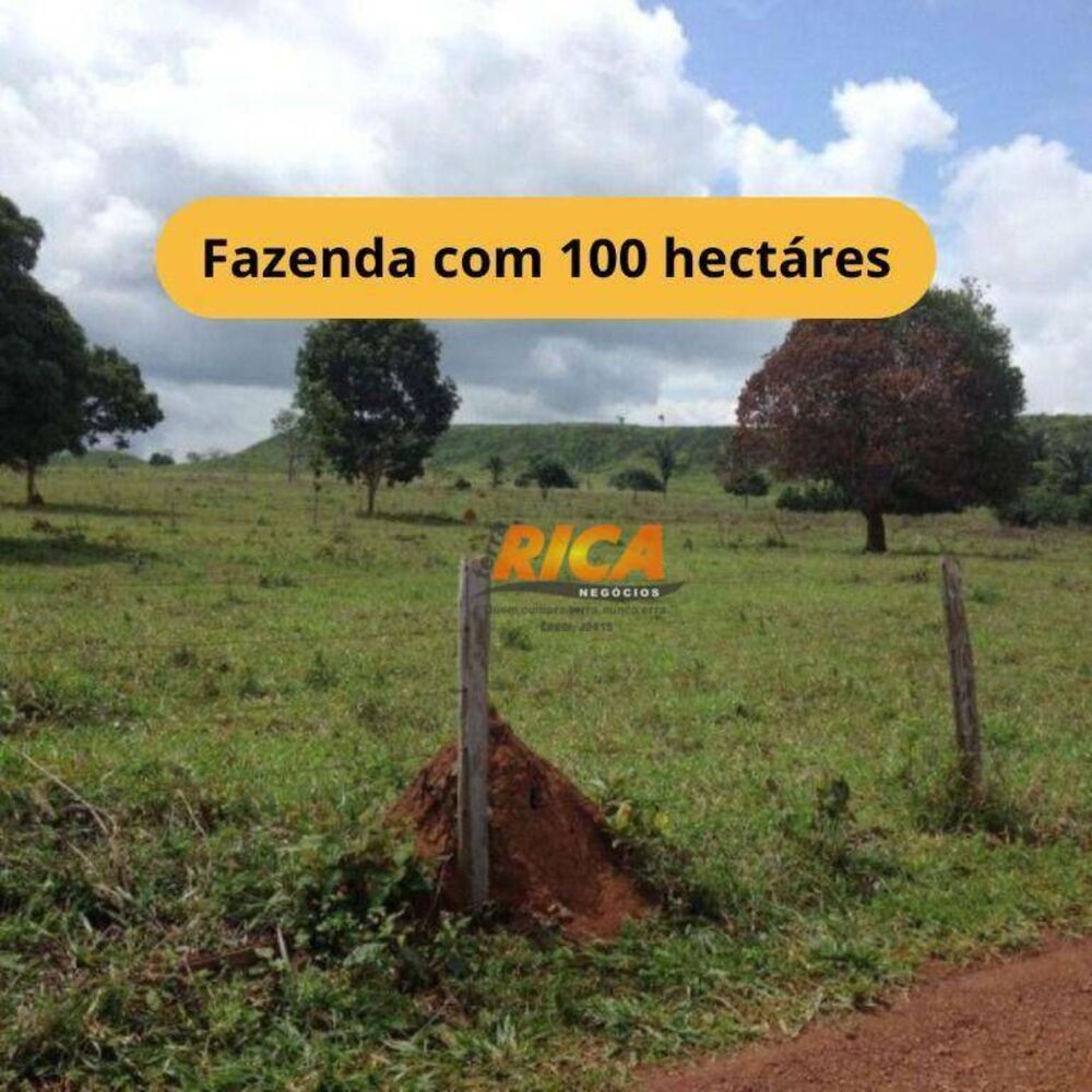 Fazenda, 100 hectares - Foto 1