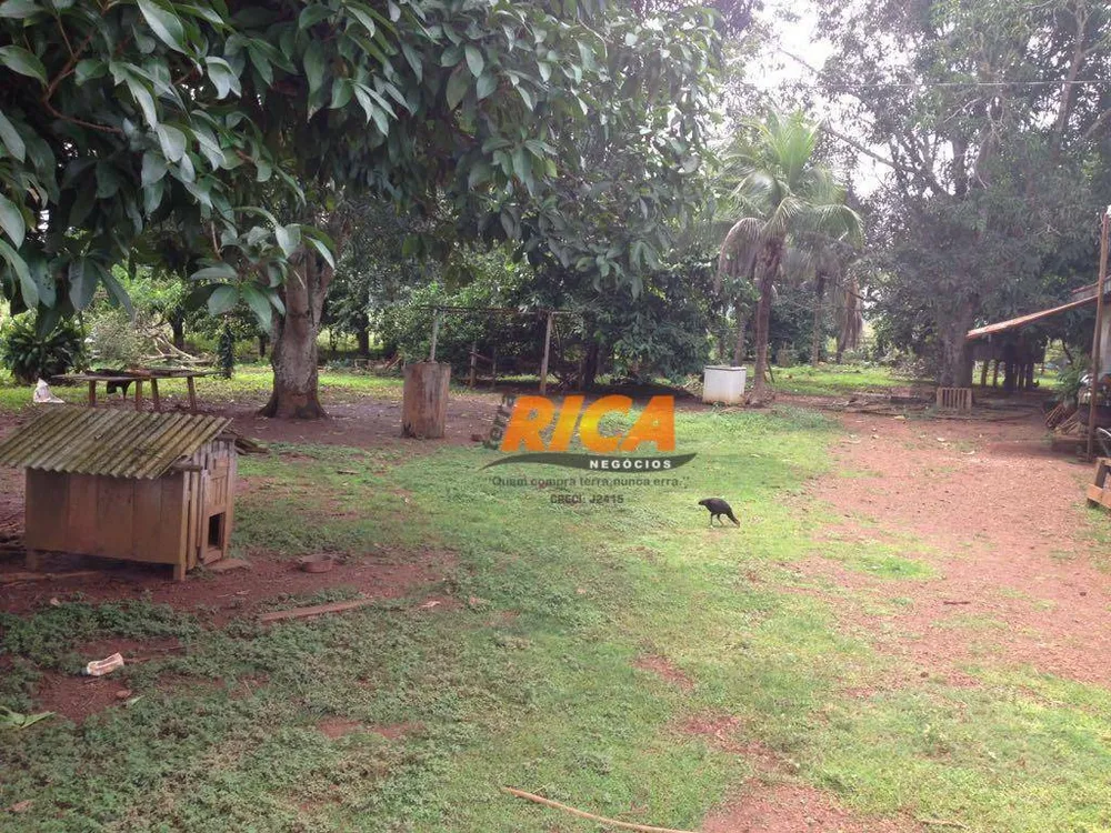 Fazenda, 100 hectares - Foto 10