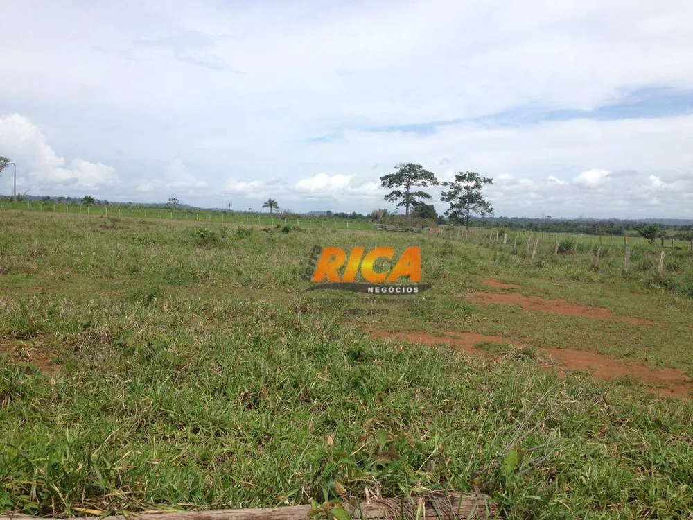Fazenda, 100 hectares - Foto 6