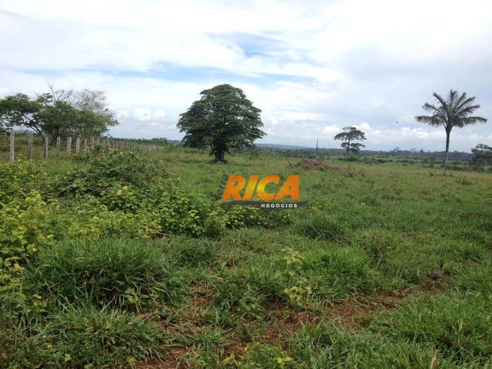 Fazenda, 100 hectares - Foto 12