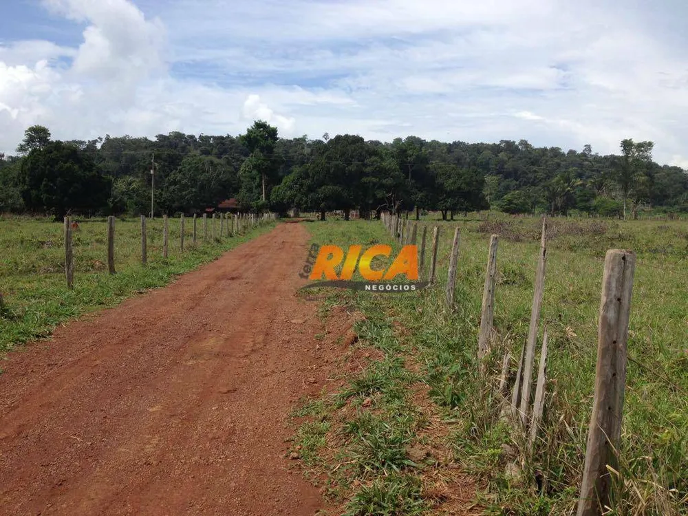 Fazenda, 100 hectares - Foto 7