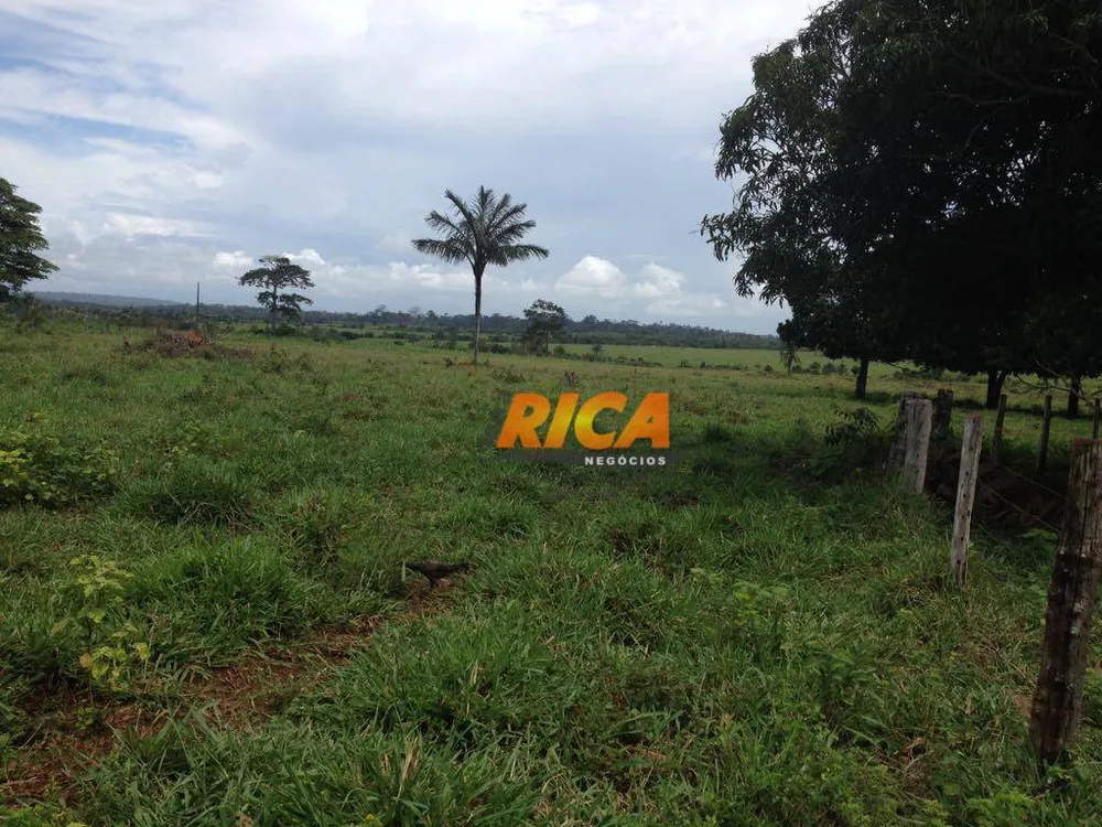 Fazenda, 100 hectares - Foto 9