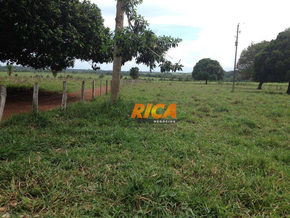 Fazenda, 100 hectares - Foto 4