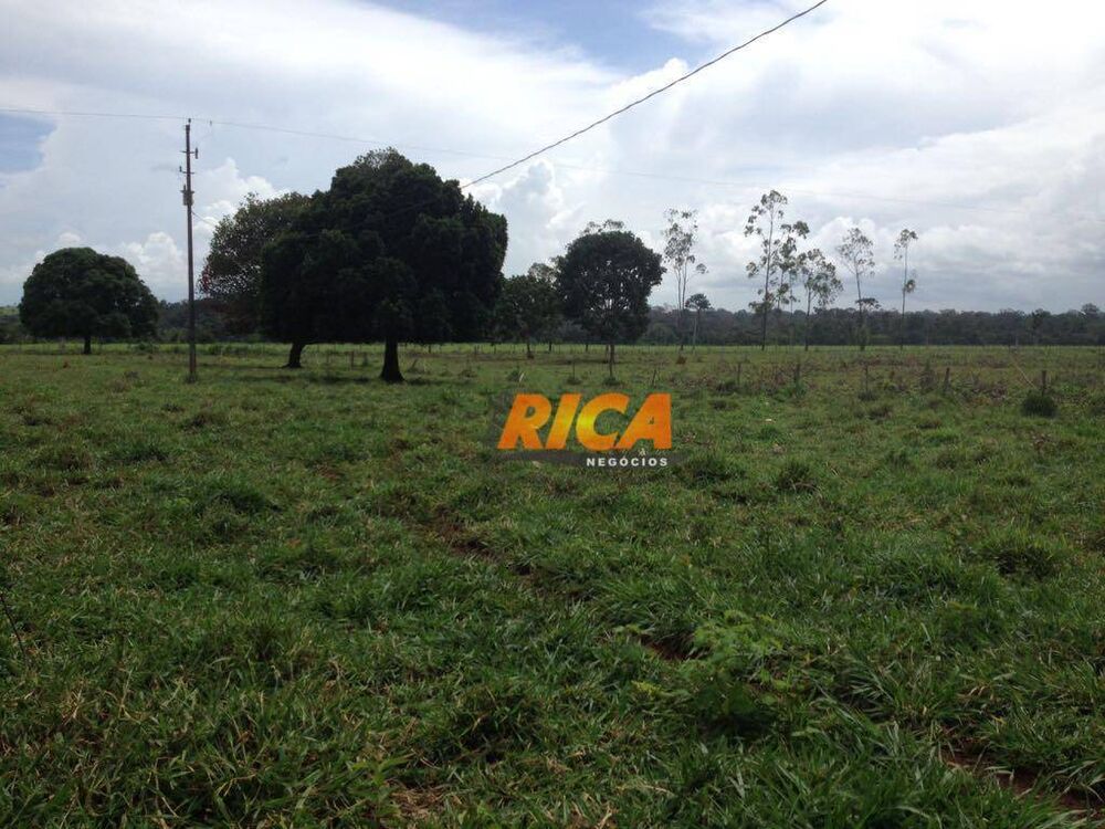 Fazenda, 100 hectares - Foto 3