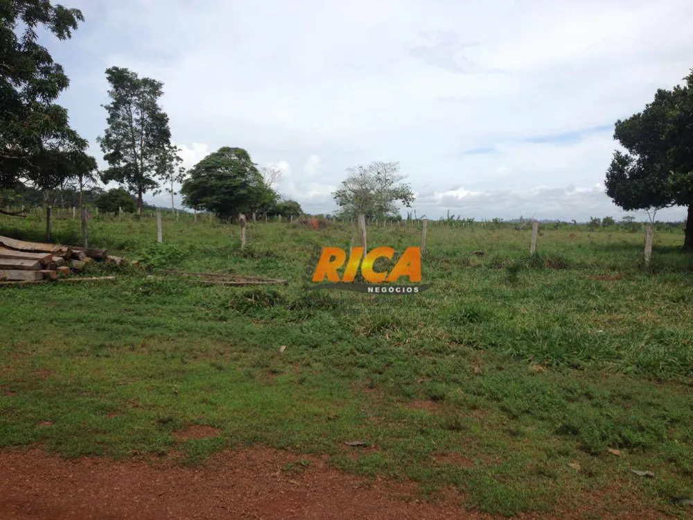 Fazenda, 100 hectares - Foto 8