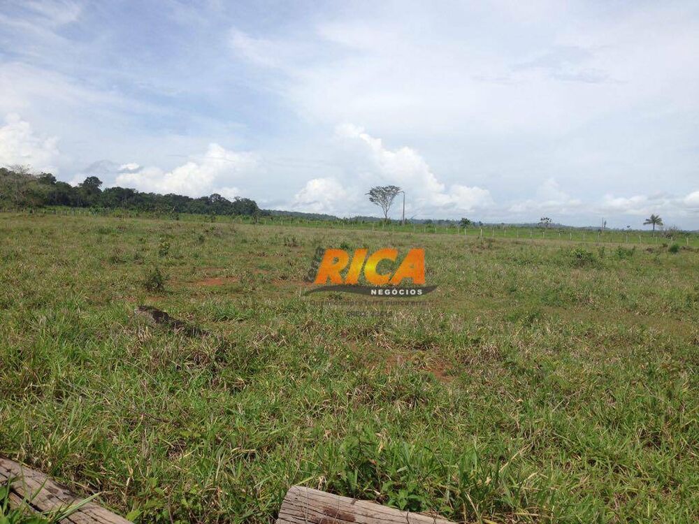 Fazenda, 100 hectares - Foto 2