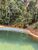 Chácara, 5 quartos, 12 hectares - Foto 4
