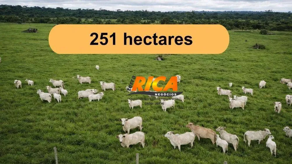 Fazenda, 251 hectares - Foto 1