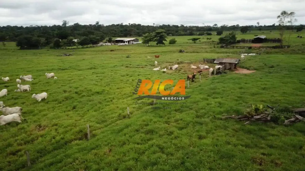 Fazenda, 251 hectares - Foto 8