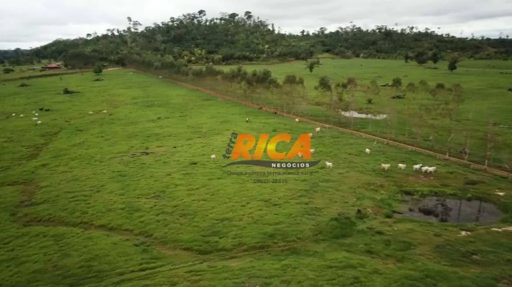 Fazenda, 251 hectares - Foto 6
