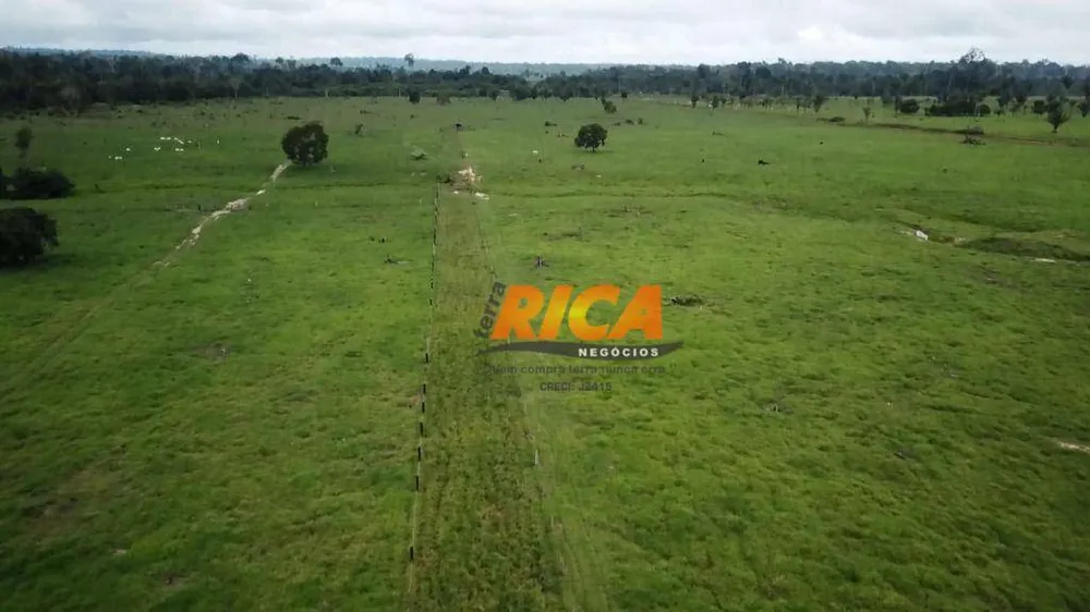 Fazenda, 251 hectares - Foto 7