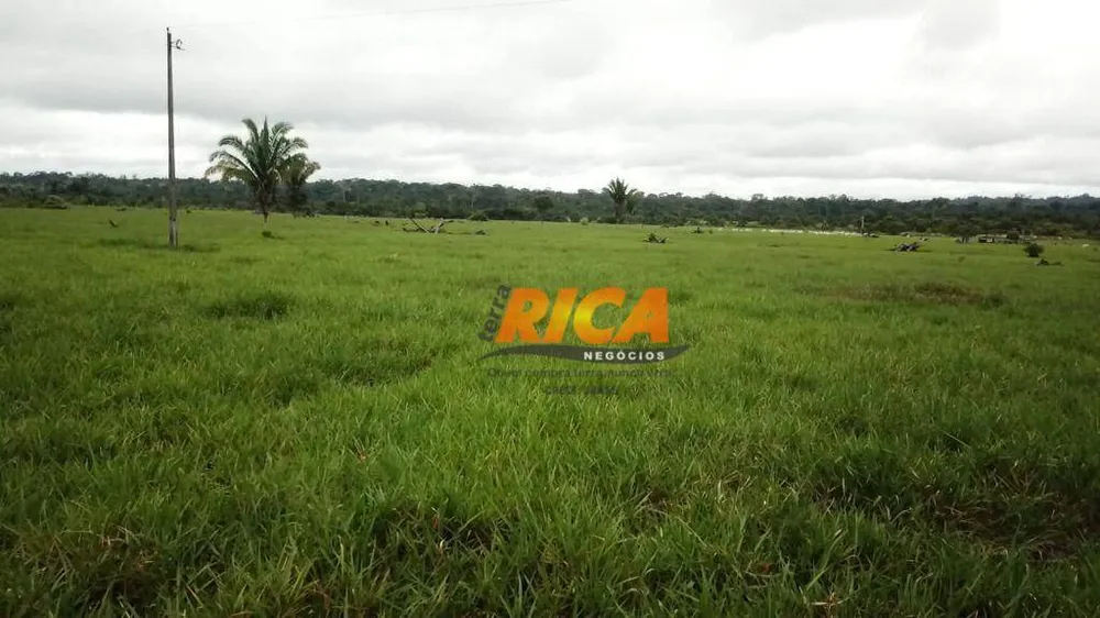 Fazenda, 251 hectares - Foto 12