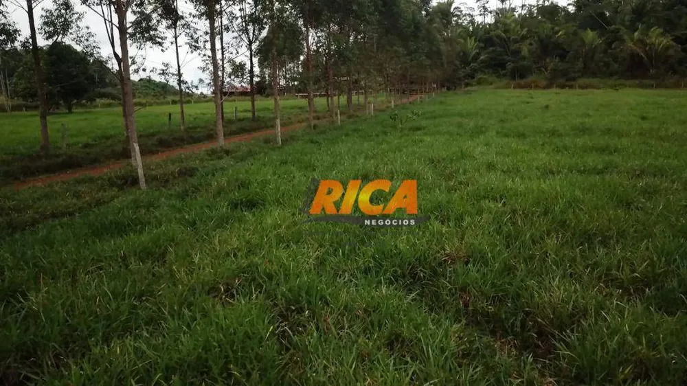 Fazenda, 251 hectares - Foto 11