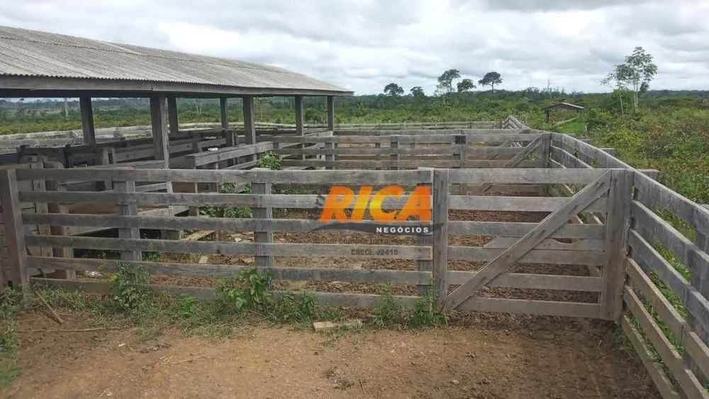 Fazenda, 400 hectares - Foto 5
