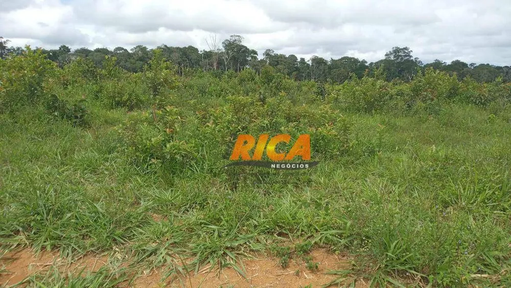 Fazenda, 400 hectares - Foto 10