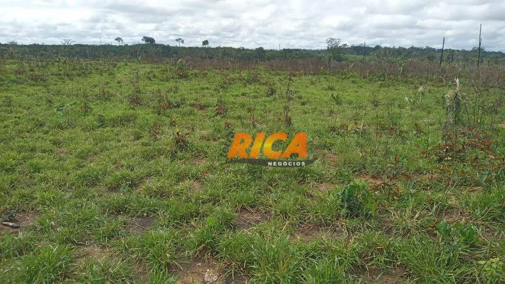 Fazenda, 400 hectares - Foto 11