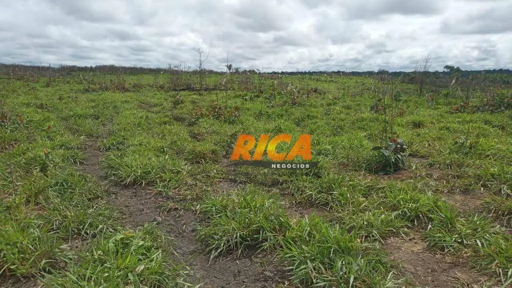 Fazenda, 400 hectares - Foto 6